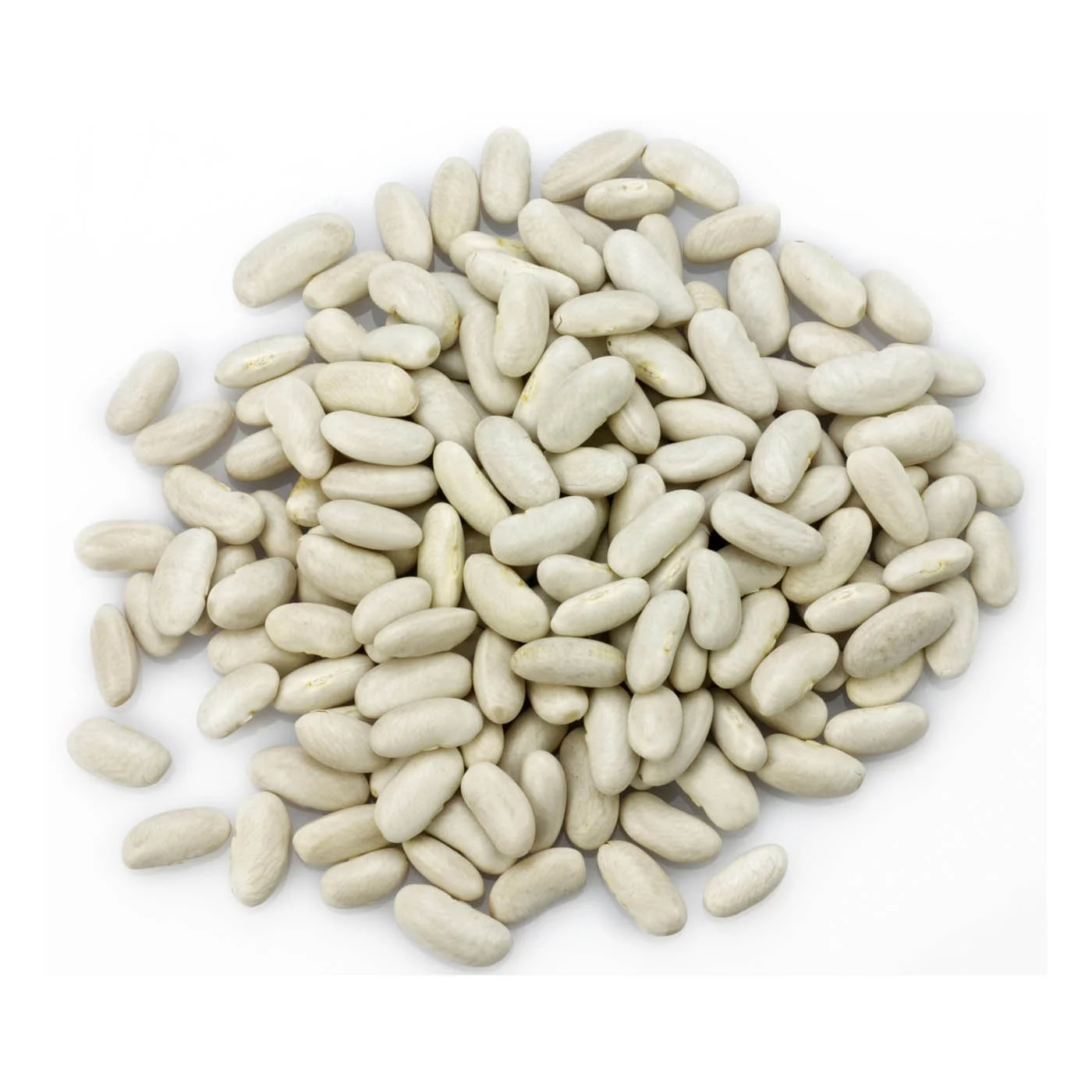 light speckled kidney pinto beans now available