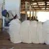 Concentrate Sisal Fibre of UG Grade and SSUG