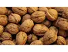 wholesale Cheap price wide dried Walnuts in shell/walnuts kernels for sale dried Walnuts in shell/walnuts kernels