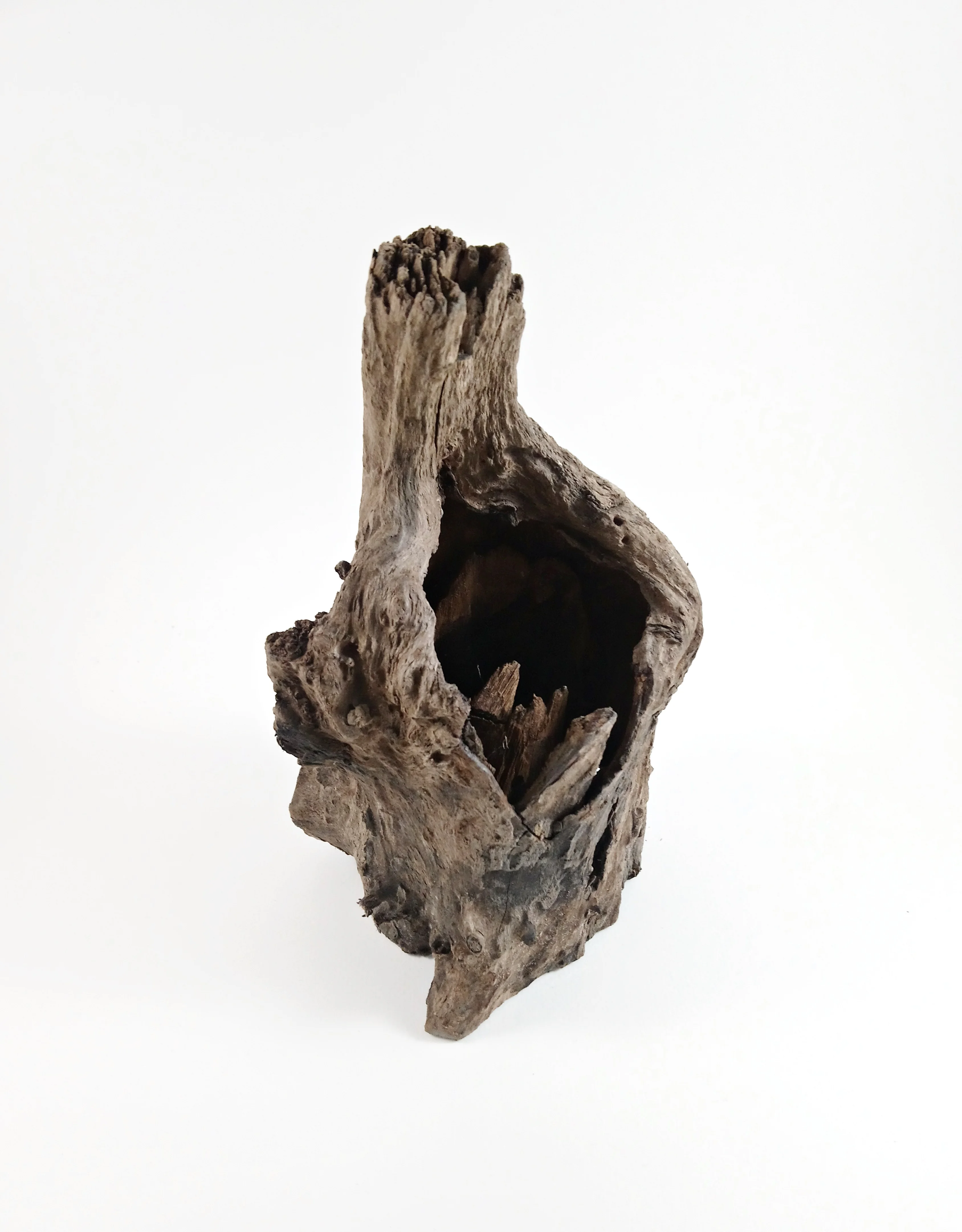 Wholesale Driftwood Buy Malaysian Driftwood,Driftwood Mangrove