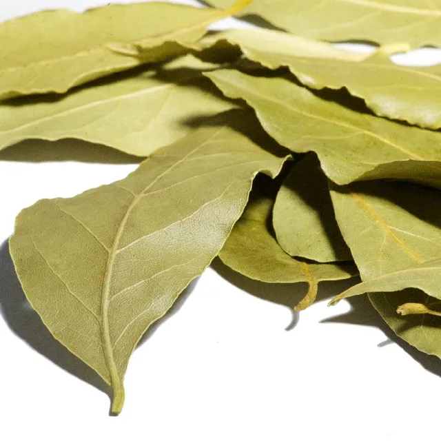 bay leaf