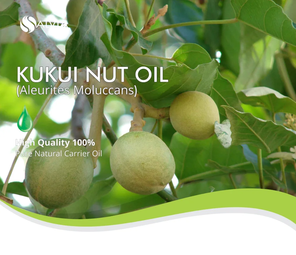 Pure And Natural Kukui Nut Oil Fast Delivery Buy Pure And Natural