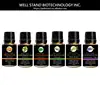 Private Label pure aromatherapy essential oil set bulk natural essential oil kit gift eucalyptus cedarwood peppermint lavender
