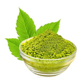 1000 Gambar Daun Neem Paling Keren 1000 Gambar Daun Neem Paling Keren