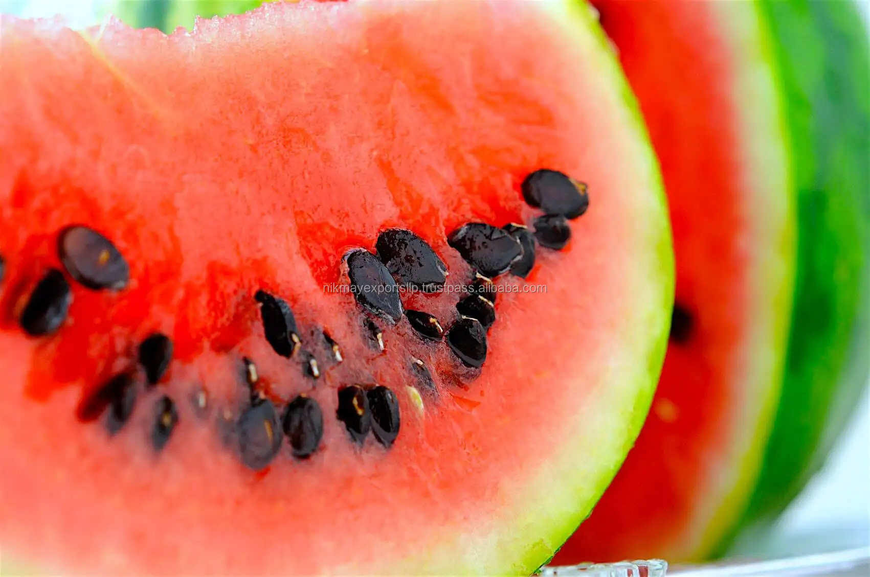 WATERMELON SEED 1