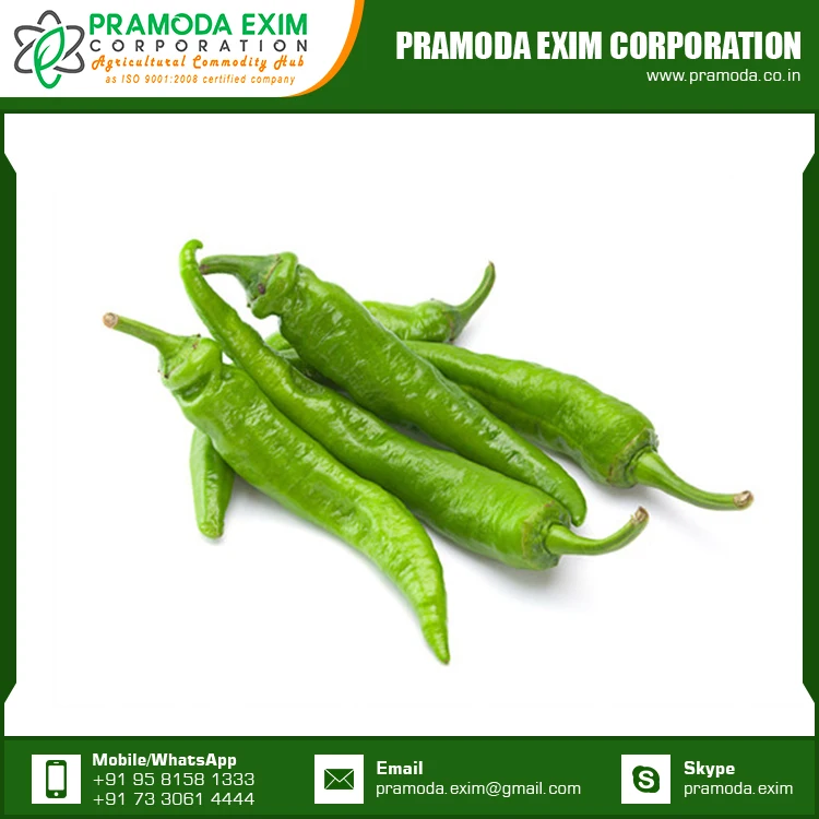 high quality green chilli