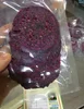 DRIED FRUIT- DRIED DRAGON FRUIT EXPORT STANDARD PRICE FOR SALE HIGH QUALITY WITH BEST PRICE FOR YOU