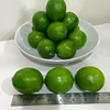 FRESH LIME/ FRESH LEMON HIGH QUALITY FOR EXPORT 2018