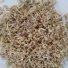Dried Lemon Grass / Best quality /