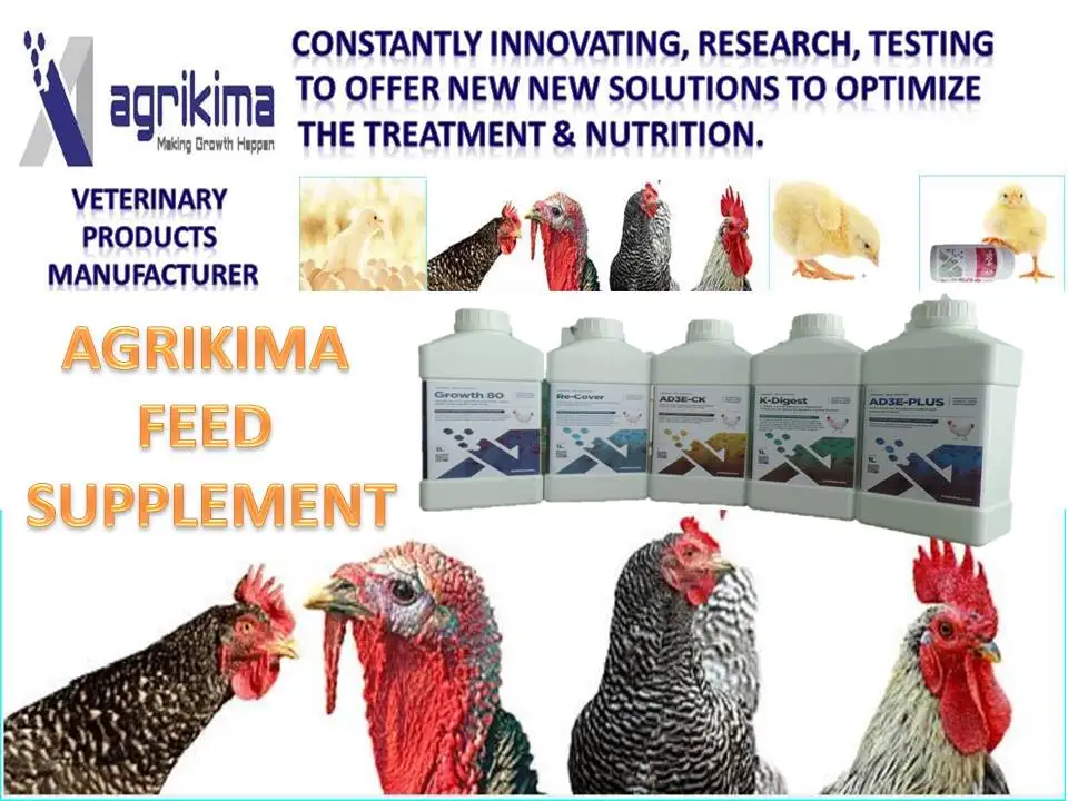 Veterinary Medicinepoultry Medicine Manufacturerak504veterinary