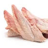 Clean healthy Frozen chicken wings..