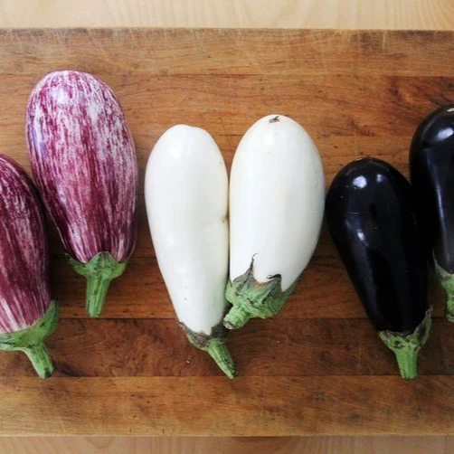 
Fresh eggplant high quality Class 1 