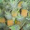GRADE AAA FRESH PINEAPPLE FROM VIETNAM
