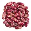 Wholesale Red Kidney Bean With Molybdenum Dietary Fiber And Copper