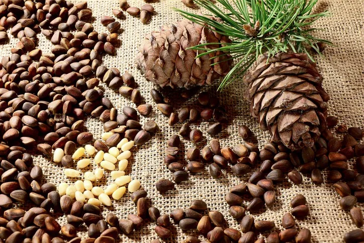 Кедровые орехи Ozon