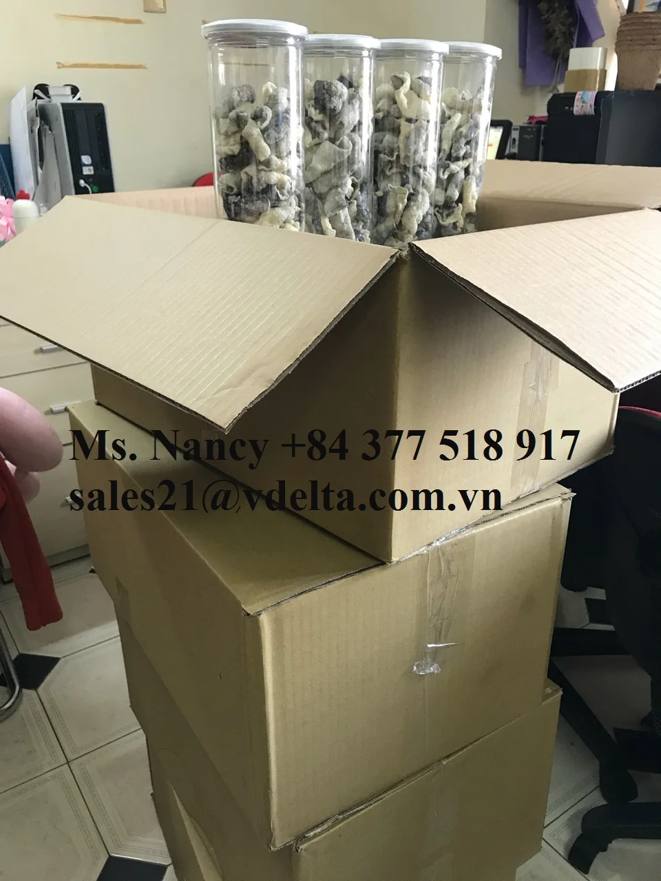 imgpsh_fullsize (10).jpg