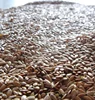 flax seeds