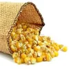Best quality yellow maize for animal feeds