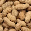 Roasted & Salted Peanuts in shell 9/11