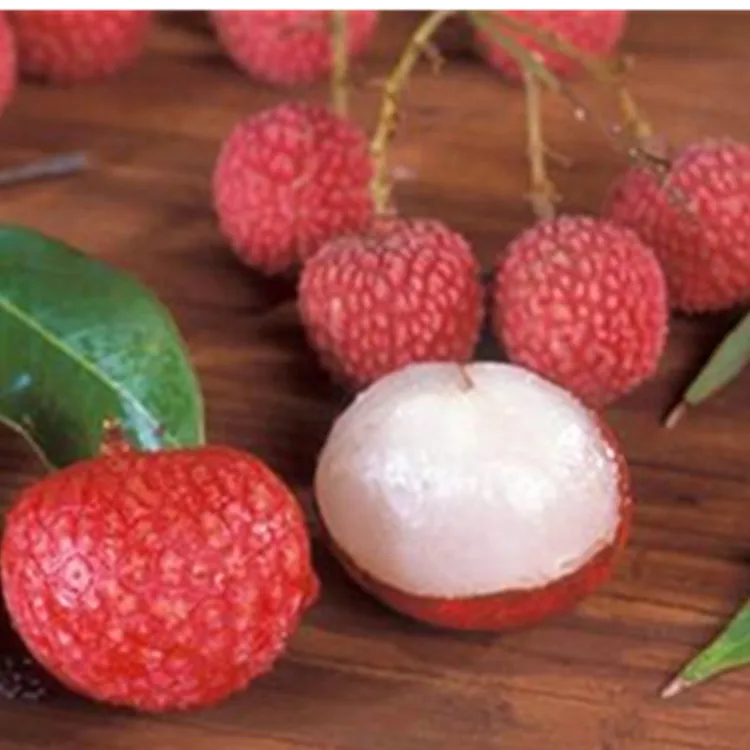 Canned Lychee/lichee Whole In Syrup China Best Canned Fruit Buy Whole