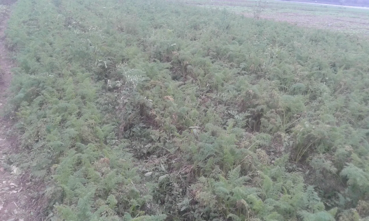 MATERIAL AREA (1).jpg