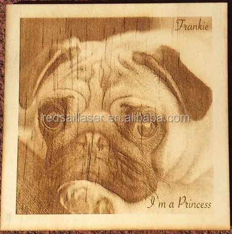 17990893_1757685691157898_1901890786954443235_n