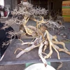Driftwood in Viet Nam used for Aquariums & Accessories