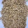 Oats Seeds / Grains /Raw / Whole/for sell/kernels/ flakes