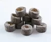 jiffy coco peat pellets covered with mesh