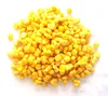 Yellow Corn & White Corn Maize for Human