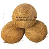 BEST QUALITY & PRICE fresh mature coconut, dry coconut/ semi husked coconut FROM VIETNAM