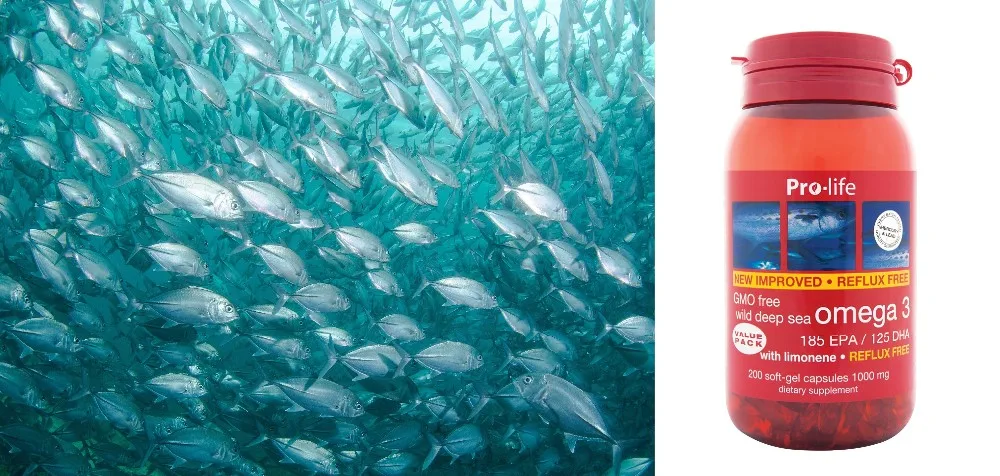 Pro-life Omega 3 | Essential Fatty Acids,Support The Heart,Brain And Eyes -  Buy Food,Beauty,Pet Product on Alibaba.com