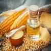 Premium Quality Refined Corn Oil, Corn oil cooking Oil at cheap prices