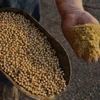 High protein soyabean meal or soya deoiled cake for Animal Feed