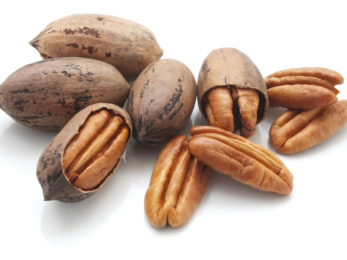 100% natural organic bulk pecan nuts