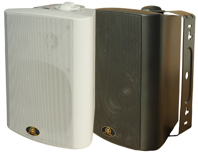 Rhaudio 30w Wall Mount Speaker With 5 Inch Speaker Unit For Conference