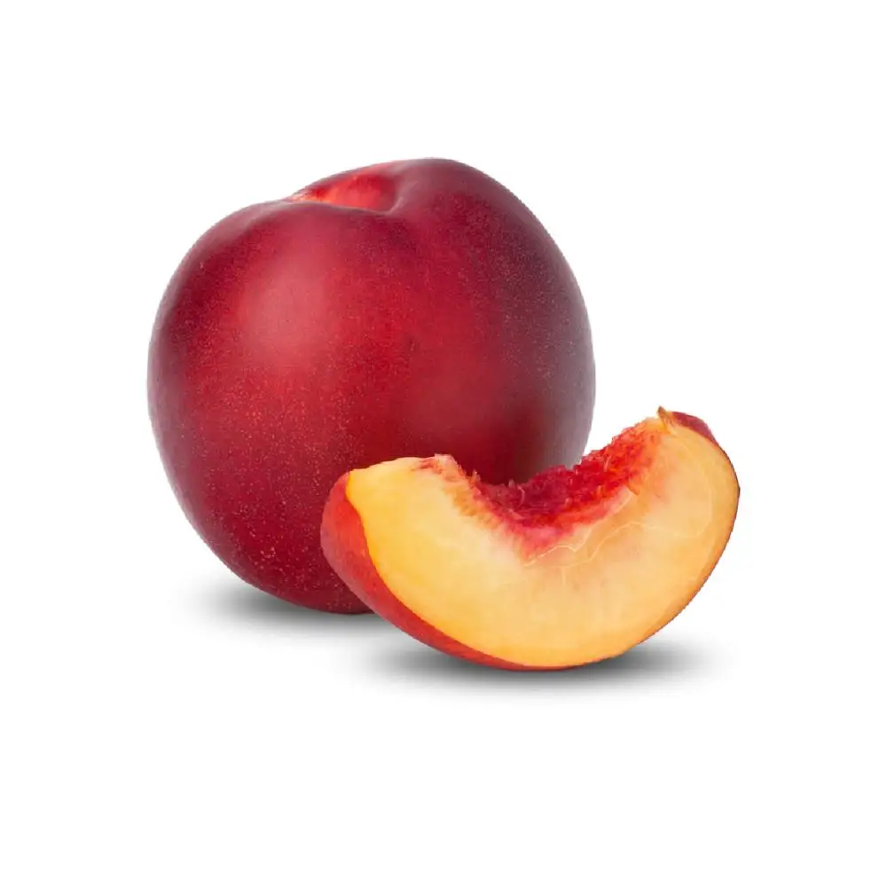 
Venus Nectarine 