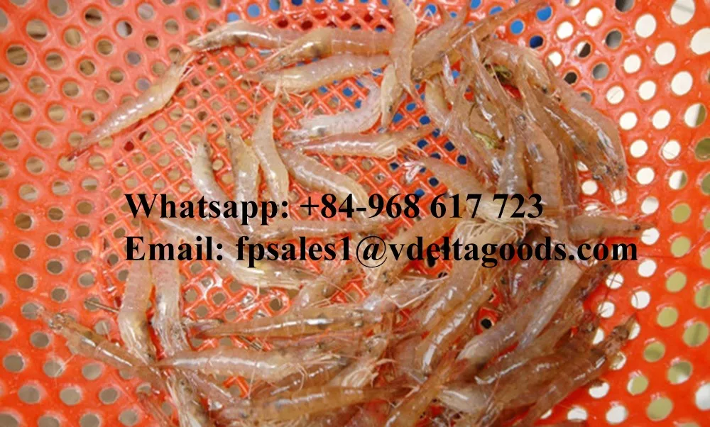 Shrimp/dried Shrimp From Vietnam Buy Dried Shrimp,Frozen Shrimp