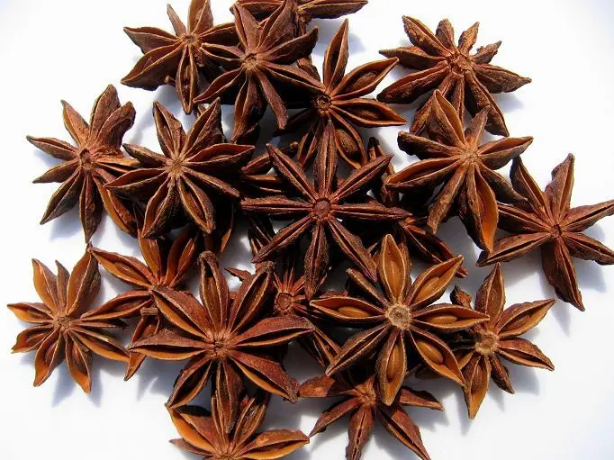 spice-star-anise-2.jpg