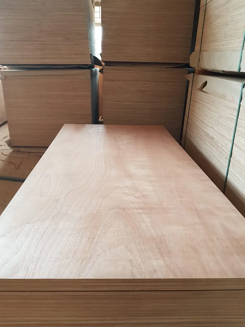 best sales 18mm factory price marine plywood hardwood