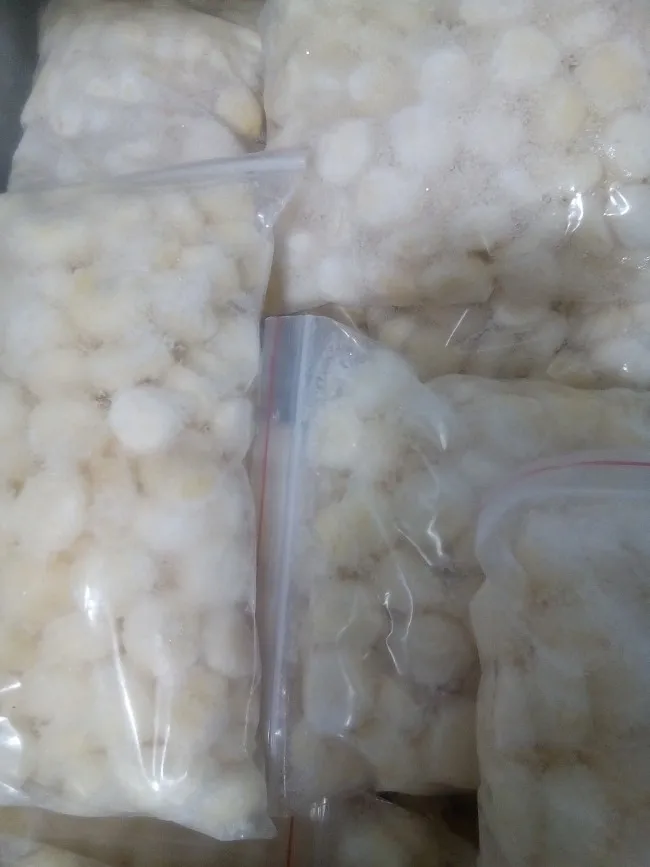 Frozen Peel Iqf Water Chestnuts / Canned Water Chestnut In Tin Buy