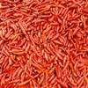 Fresh premium Vietnam Chilli, Chili,Red Chili peppers