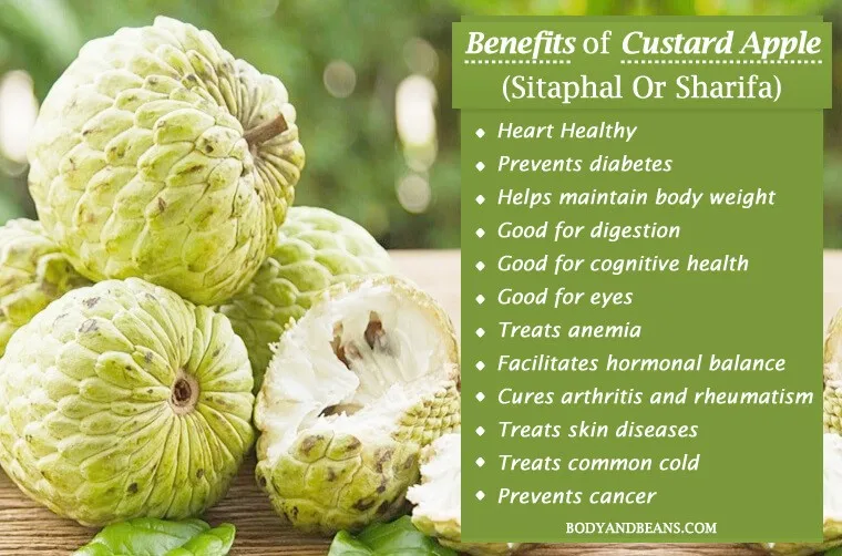 custard apple seed oil