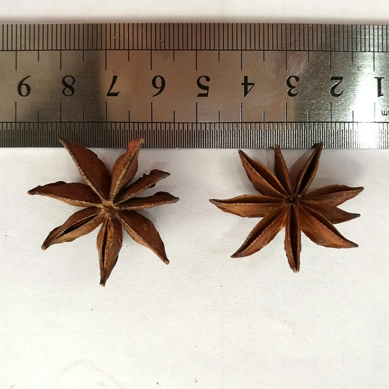 Vietnam Natural Star Anise,Aniseed,Spices Buy Star Anise,Aniseed