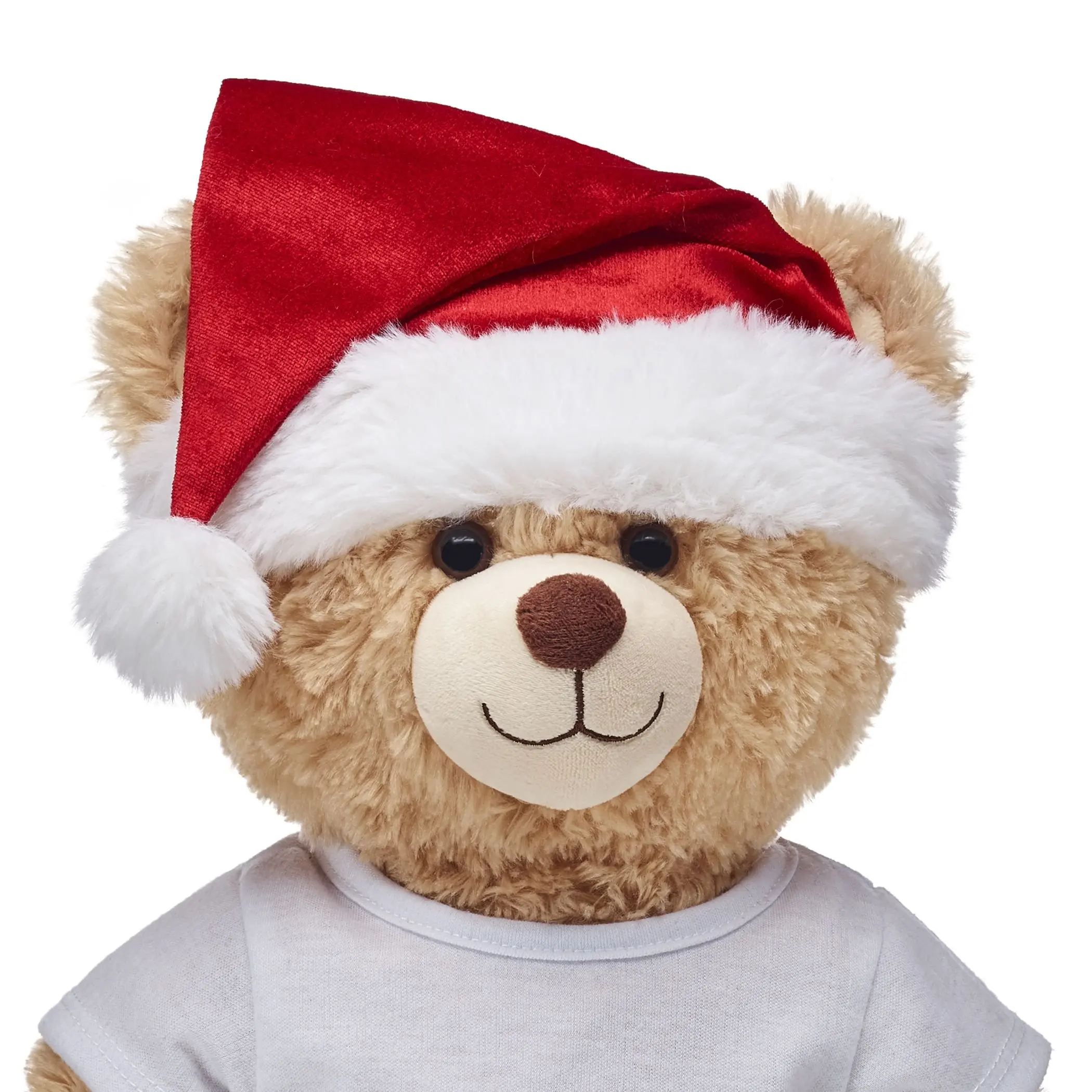 2007 santa bear