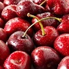 Fresh Cherries good quality
