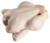 /product-detail/premium-halal-kosher-frozen-chicken-leg-quarter-62003470907.html