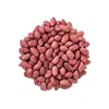 Jumbo Raw Peanuts No Shell With High Quality