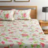 Indian Bombay Dyeing 180 TC Cotton Double Bedsheets SWBD0062