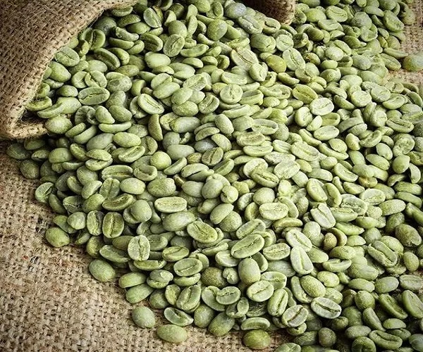 green bean coffee